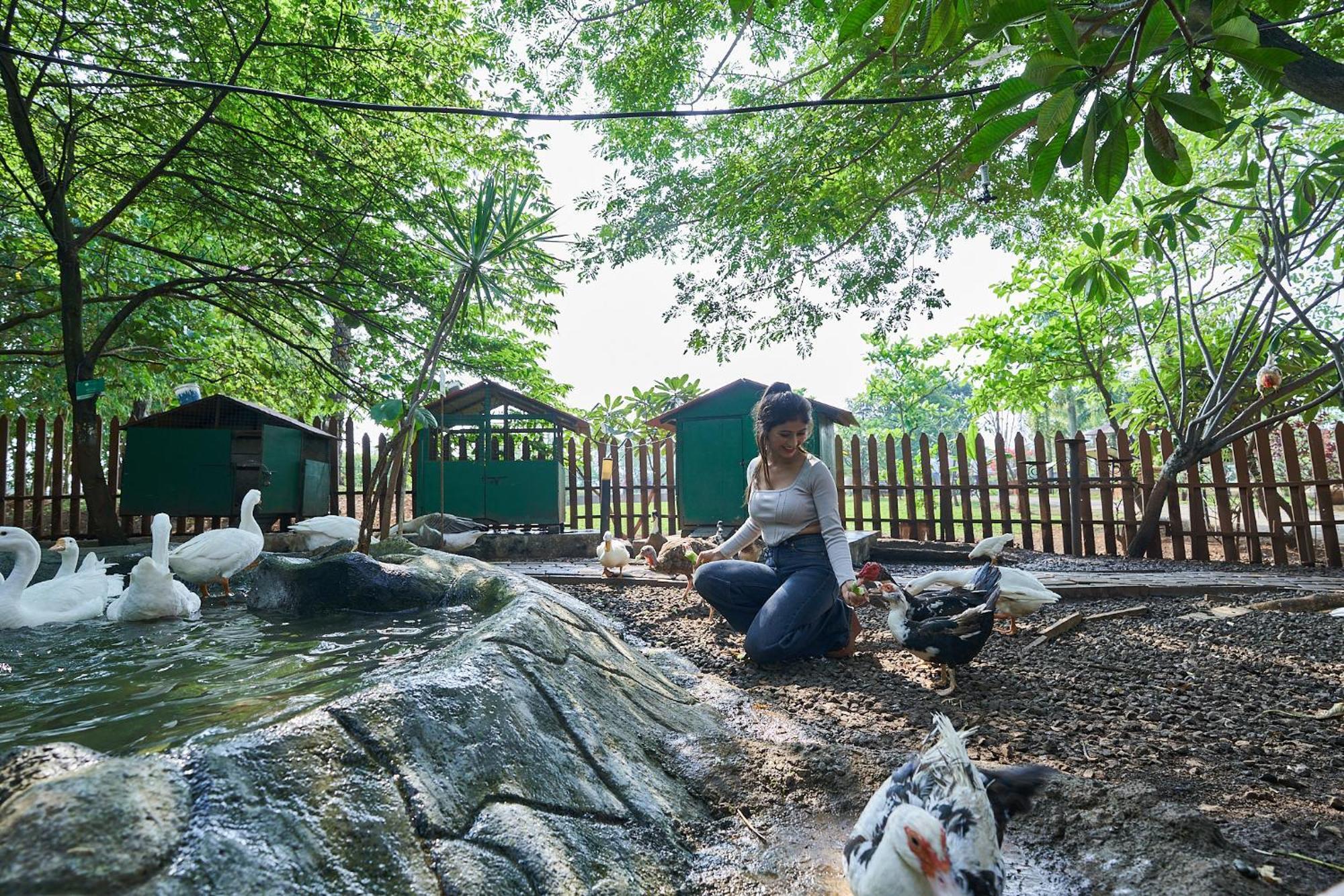 Grape County Eco Resort & Spa, Нашик Екстер'єр фото